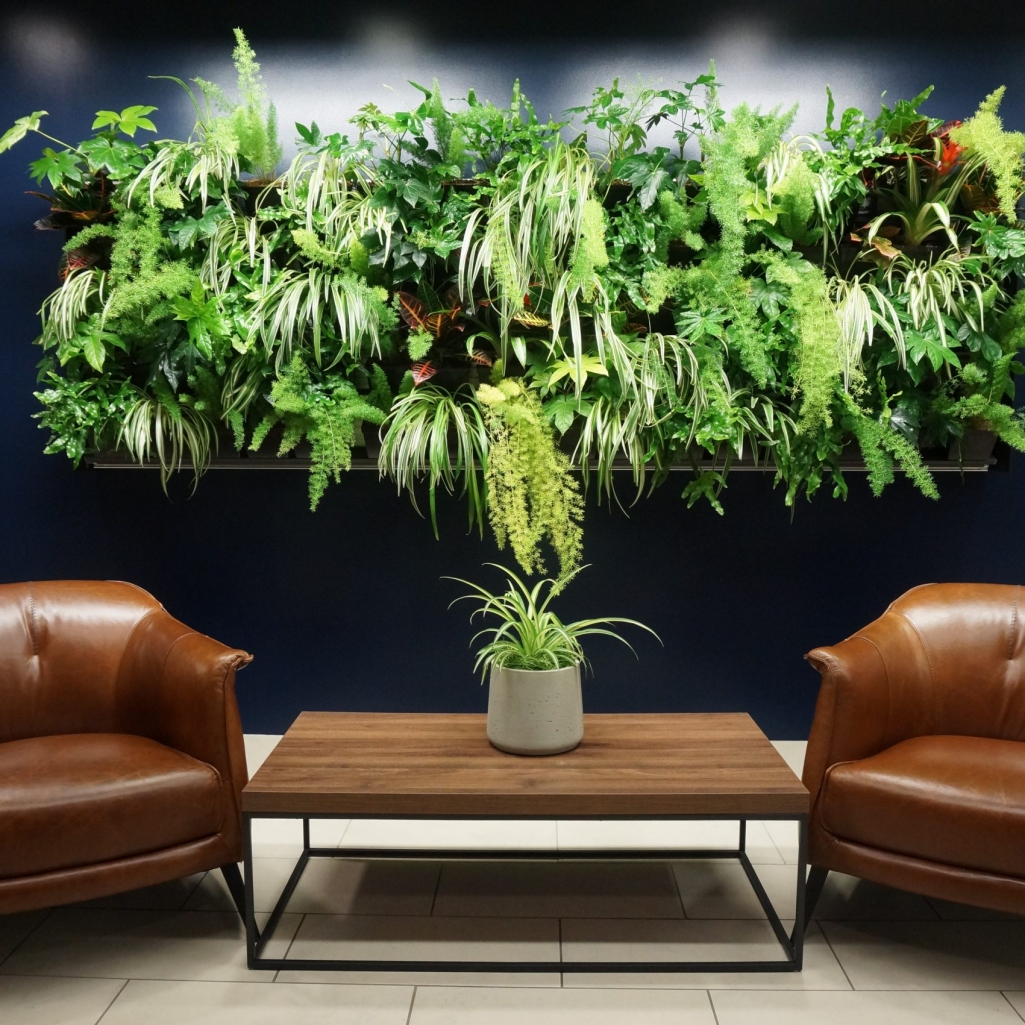 A living wall is a great solution to rooms lacking floor space