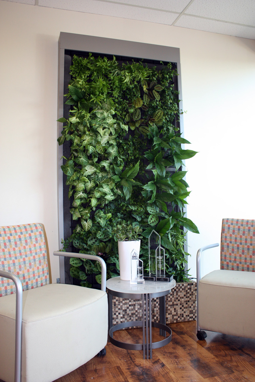 Vertical Plant Wall