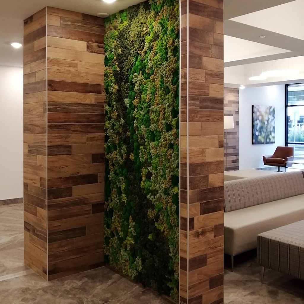 Vertical green moss wall in an Edmonton office