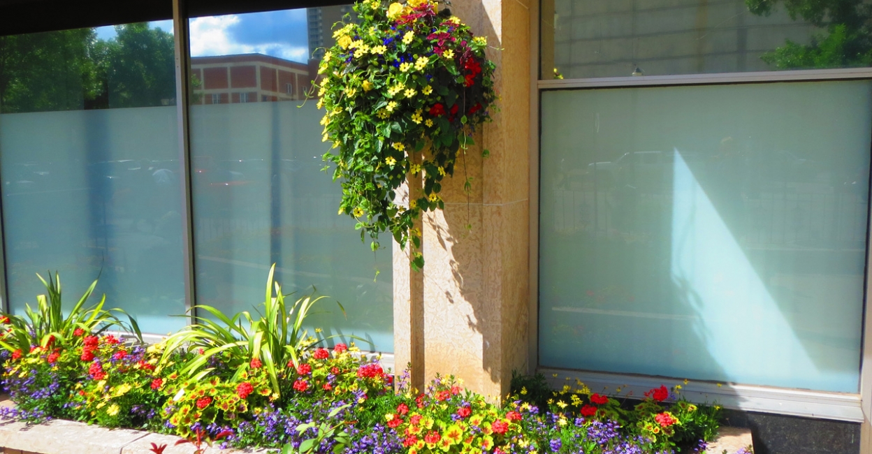 Urban Exterior Plants & Planters - Greenjeans Interiorscape