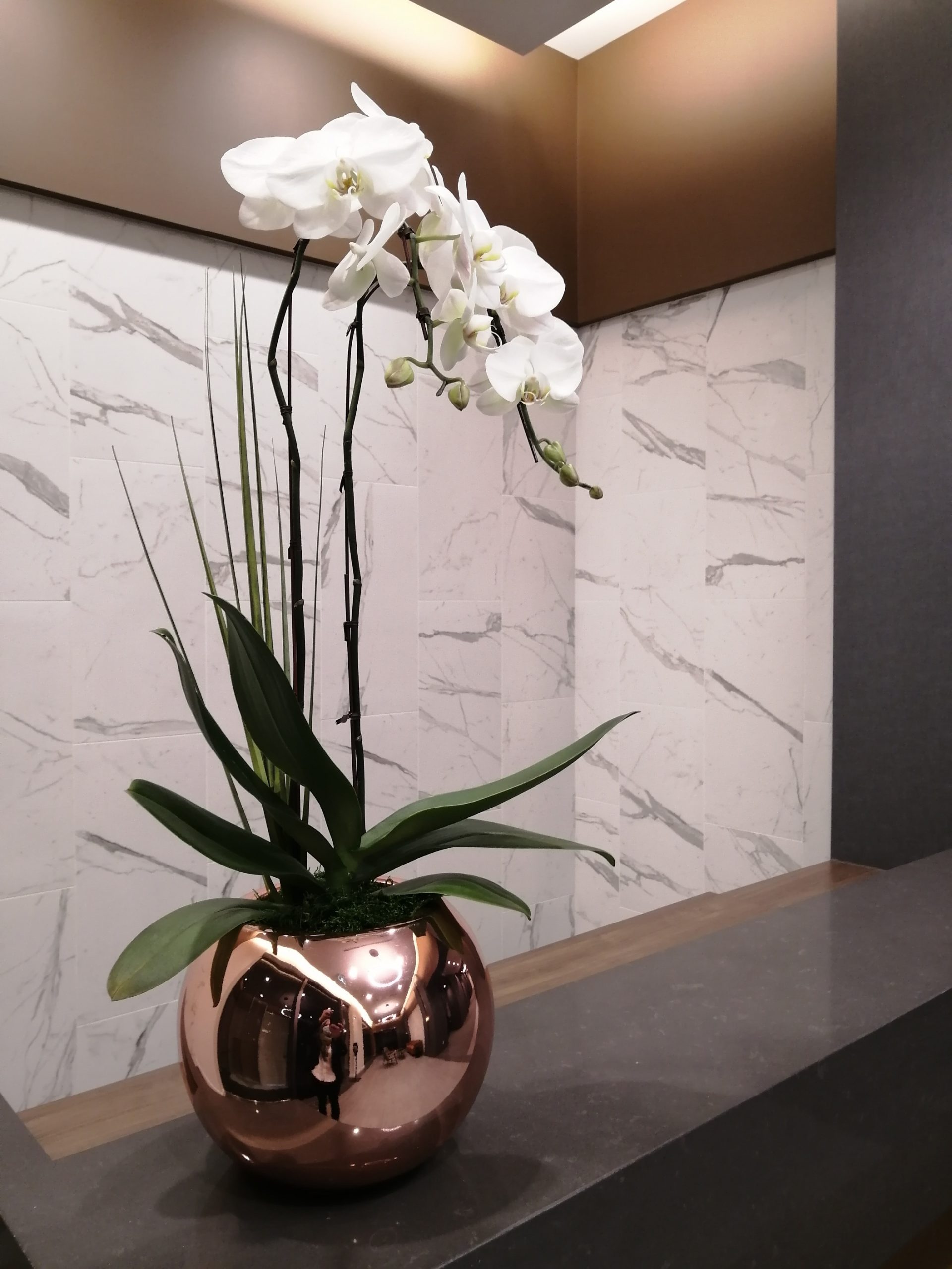 Metalic bowl with tall white orchids